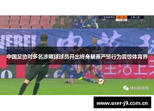 中国足协对多名涉赌球球员开出终身禁赛严惩行为震惊体育界 中国足协对多名涉赌球球员开出终身禁赛严惩行为震惊体育界